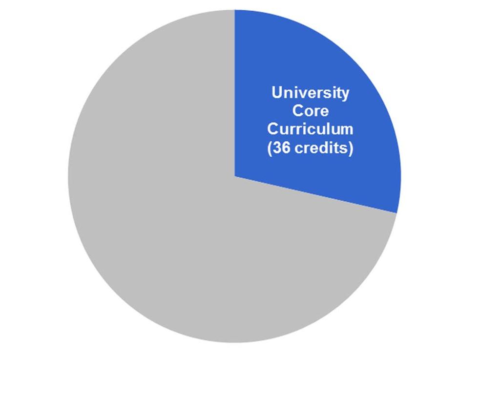 University Core Curriculum Each common core broad area has clearly defined learning outcomes All undergraduates will complete the same set of common core requirements regardless of their major