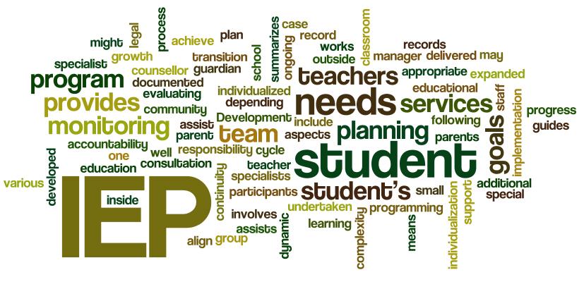 Individualized Education Program (IEP) Purpose of the IEP Many people have called the Individualized Education Program (IEP) the most important part of the Individuals with Disabilities Education Act