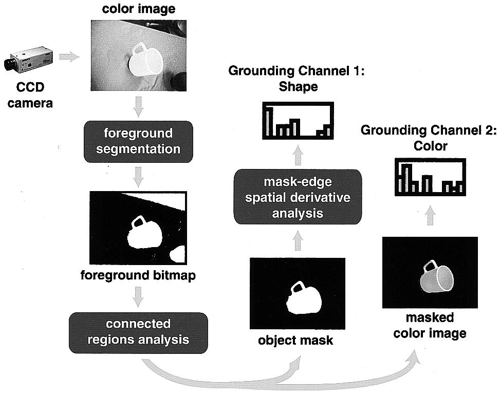 ROY: GROUNDED SPOKEN LANGUAGE ACQUISITION 201 Fig. 4. Extraction of object shape and color channels from a CCD camera.