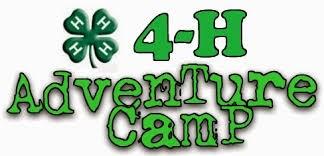 6 2017 4-H Teen Conference and Overnight Camps 2017