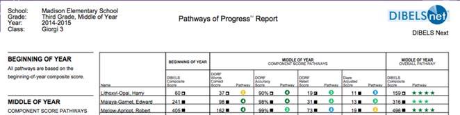 Third Grade At Benchmark Student Case Example: Donna Mid Year Pathways Report: