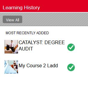 Departments may track learning externally or load completed learning to your current learning history. Reports Run reports based on your personal learning records.