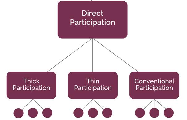 Defining Public Participation and Exploring in its Modern Forms Direct Participation: people (the public) are personally involved and actively engaged in providing input, making