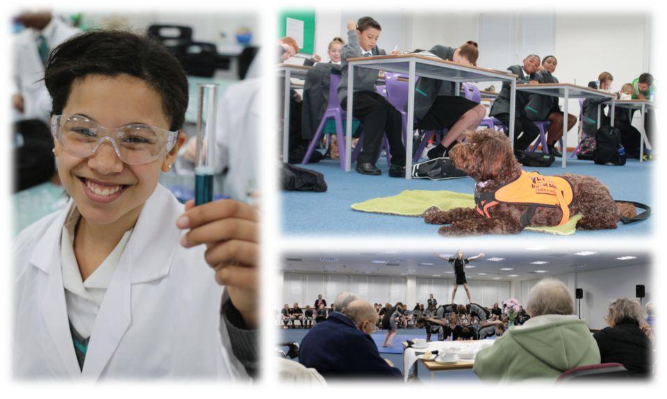 Expectations At The Reach Free School we expect our staff to: Be passionate about their subject area, and learning as a lifelong skill Be committed to securing the best outcomes for all pupils at the