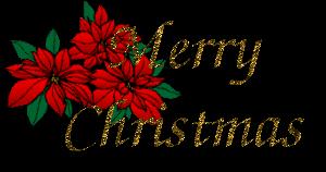 The staff and students at Bremer bay Primary would like to wish everyone a Merry Christmas and happy, healthy holidays.