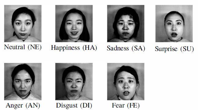 emotions in the JAFFE data set are shown in the figure below. we had decent validation accuracy, we tested it on the separate test set of 852 images.