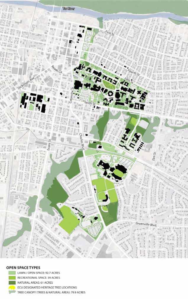 Main Campus Public Realm Natural areas occupy approximately 61 acres Tree canopy covers about 80 acres (overlaps with other areas) Lawn and