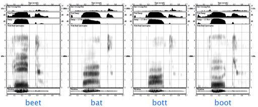 Spectrograms of vowels Tongue height is