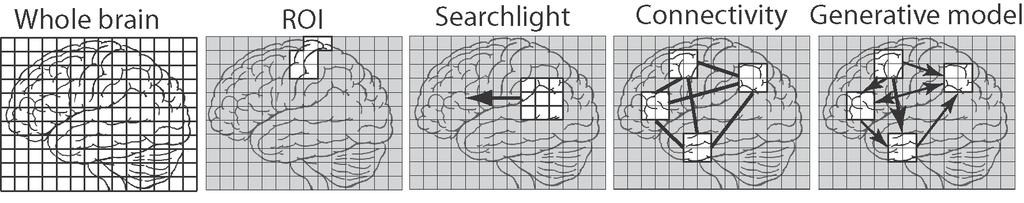 Feature selection for fmri multivariate analysis Different features answer different questions.