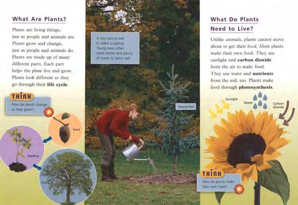 Focus: Students explore the plant life cycle and what plants need to live. Activity Description: A new screen called How Plants Change appears. The text answers the Think question.