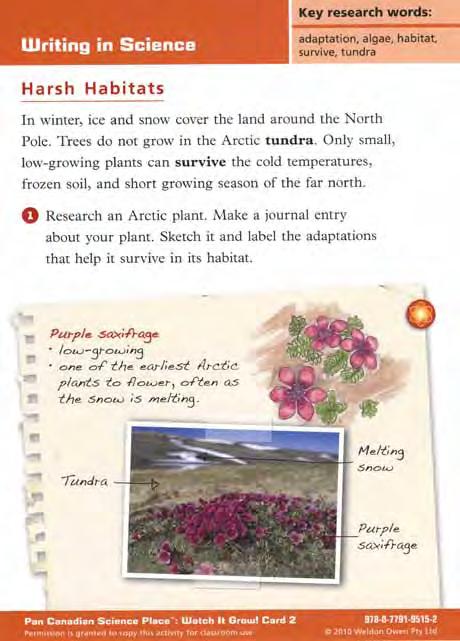 Activity Description: Students drag and drop the correct adaptation labels onto each plant. Students then click continue to learn about two additional Arctic plants with unique tundra adaptations.