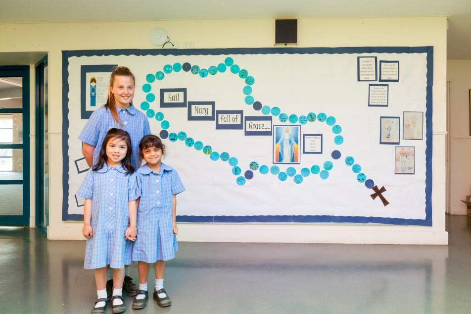The Enhancing Catholic Schools Identity Project (ECSIP) assists Victorian Catholic schools to articulate their identity and vision and express their distinct mission to the wider community.