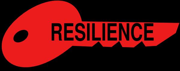 Guidance Counsellor News This week in the You Can Do It lesson, students recovered what resilience is. Students also re-examined the catastrophe Scale from the previous week.