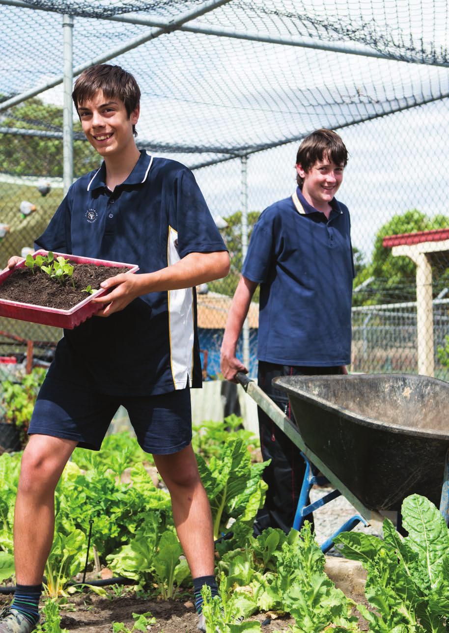 PARTNERING FOR SUCCESS At Belmont City College we understand that our school needs to be outward looking to make positive connections with local families, community organisations, business and