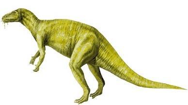 REVISED: 4/13/2018 Aggie Camptosaurus (NEW) Week One: June 18-22, 2018 Description: Your child will become an adventurous archaeologist researching prehistoric creatures such as camptosaurus and