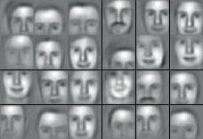 Identify face e.g.