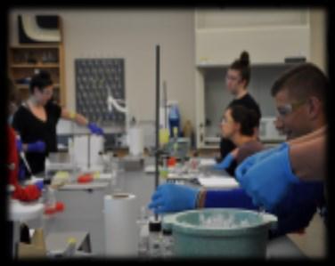Students will receive 2 college credits in Biology 412 (Special Topics) for Protein Biochemistry Academy $400 Biochemistry strives to understand how organisms, from bacteria to animals, work on a