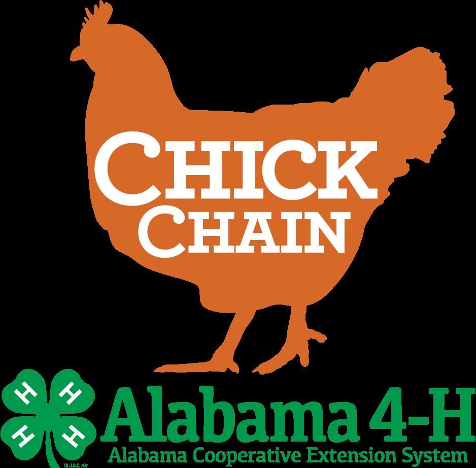 Record Book For use by all Alabama 4-H Chick Chain Project members Name: Age as of January 1: Grade: 4-H county: 4-H Year: Years in