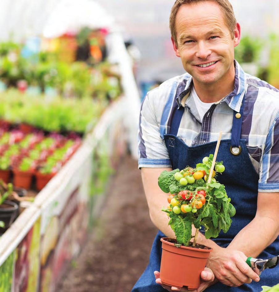 PLANT PRODUCTION The Career Studies Certificate in Plant Production prepares students for entrylevel positions in greenhouses, nurseries, garden centers, and other retail and wholesale allied
