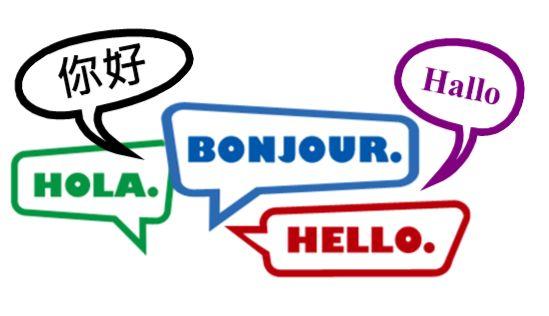 Criteria for the Bilingual IB Diploma Program Successfully fulfilling one or both of the following: Two languages selected from group 1 with a grade of 3 or higher in both (Chinese or