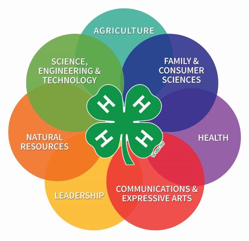4-H can do for you! We offer an array of university research-based curriculum from STEM to parliamentary procedure, communications, cooking, healthy eating/moving, babysitting, and more!