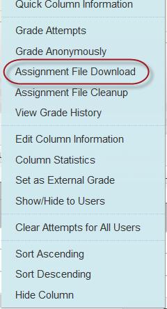 Downloading an Assignment Instructors can download all student assignment submissions or can select individual student submissions to download: 1.