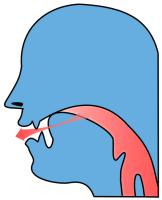 post-alveolar [r] 1. The tip of the tongue is held in a position near to but not touching the back part of the alveolar ridge. 2.