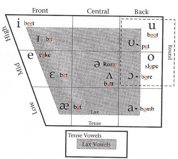 A phoneme is the smallest structural unit that distinguishes meaning in a language. 4.