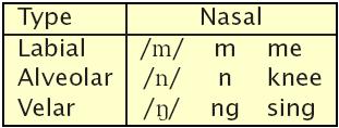 Nasal of American English Three places of articulation: Labial, Alveolar, and Velar Nasal consonants are always attached to a vowel, though