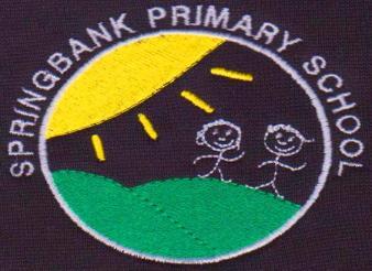 Springbank Primary School Our whole school vision is: Springbank Primary is a place where all of our children and staff will have the opportunity to excel.