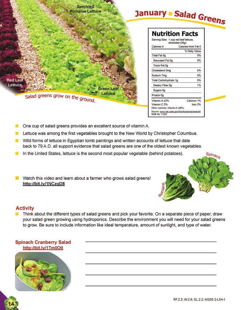 January Learning Objectives Name a nutrient found in red leaf lettuce. Recall a salad green fun fact. Describe how salad greens grow. Diagram hydroponics and describe the growing environment.
