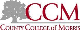 STRATEGIC PLAN for ENROLLMENT, RETENTION, AND The County College of Morris mission is to deliver dynamic, challenging, high-quality, and accessible academic programs and services that support the