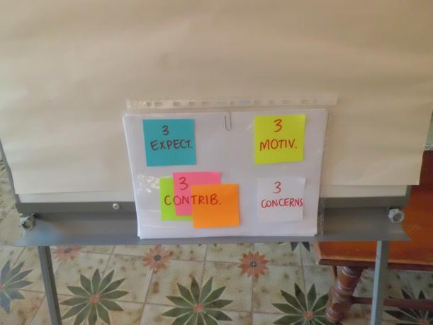 Main activities Expectations, motivations, contributions and concerns Using four different post-it of different colours,