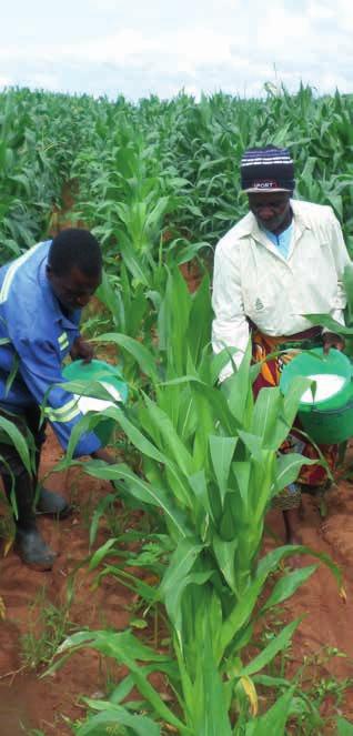 2016 Highlights Farmers improved their 1,435 use of land farmers in Gutu & Makoni districts adopted conservation farming techniques for maize production on small plots.
