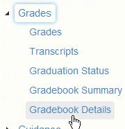 After the document is uploaded, the teacher can also view the document attached to the assignment on the Gradebook Details page by clicking the mouse on the Gradebook Details node on the