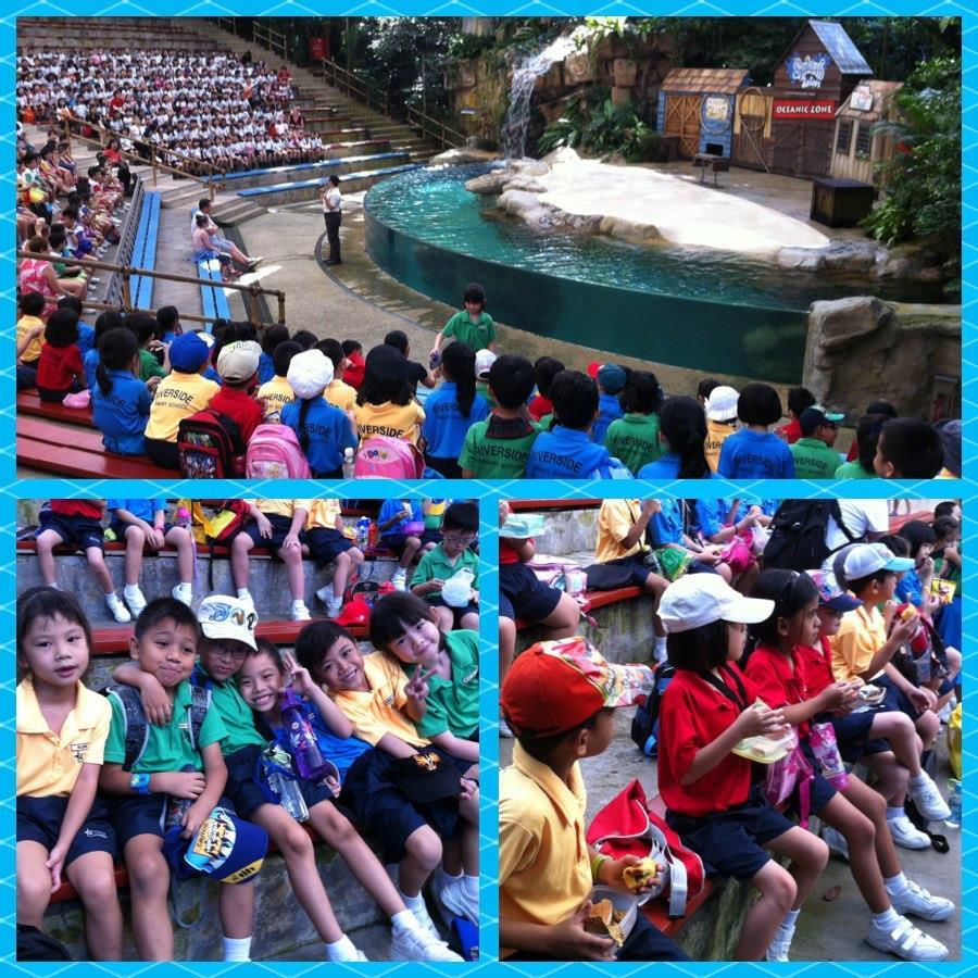 Learning Journey to the Singapore Zoo (Term 1 Week 10)
