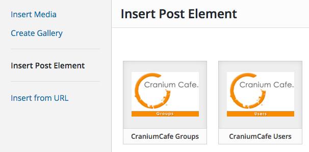 CAFE CARD: WORDPRESS INTEGRATION The Bemidji State University and web development team has created a WordPress application for Cranium Cafe group and single Cafe Card integrations.