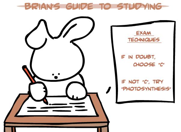 8 How to study for exams You will be moving towards practice answers soon, so