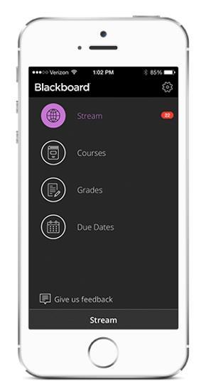 Receive updates about your courses, content, and work due in the activity stream. View grades.