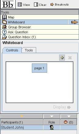 Whiteboard A virtual drawing/text space for participants to share information not easily conveyed using the chat box.