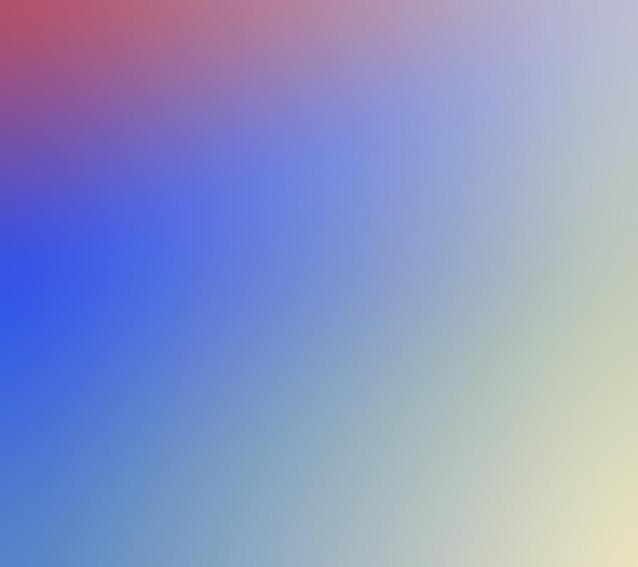 Evolved Policy Gradients