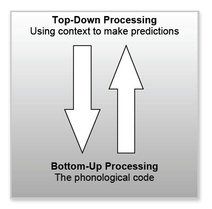 3. Top-Down and Bottom-Up Processing In listening and speaking in second language classes the discussion of top-down/bottom-up processing is relevant in two senses.