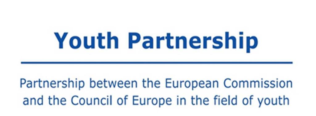 Background Analytical Paper: Learning Mobility and Social Inclusion Call for Authors The team of the partnership between the European Commission and the Council of Europe in the field of youth is