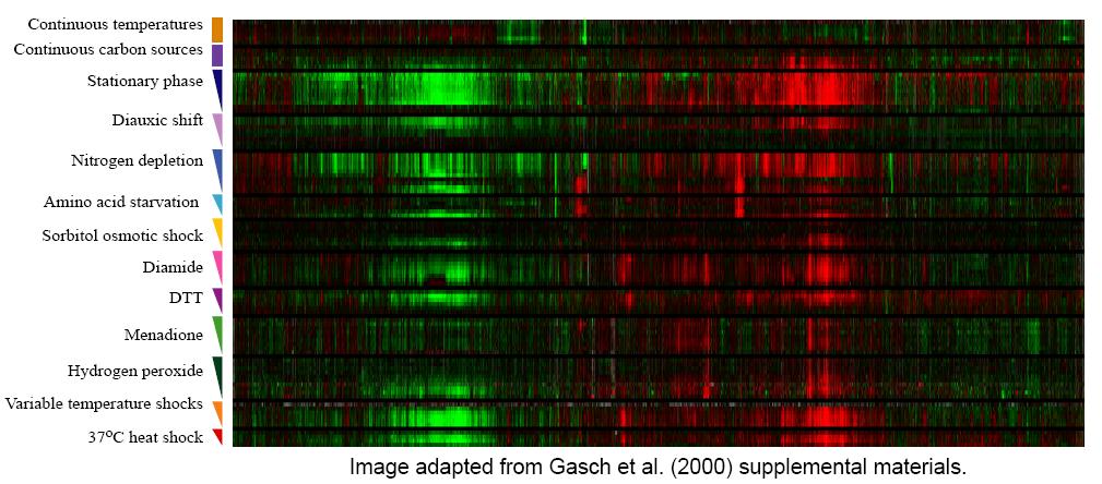 Results: Gasch Genes Data Set Gasch Genes Data Set (N=174,D=667):