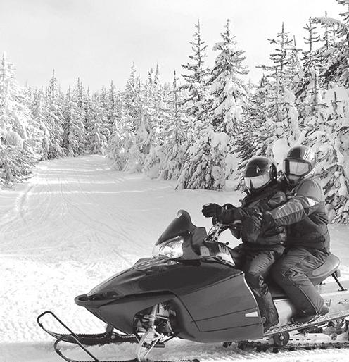They also find numerous snowmobile rental offers, but there are two in particular that interest them.