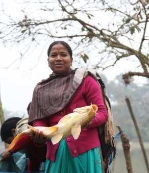 4 th Week of Lent Project Compassion: Sarita from Nepal Sharing food for life Mother of three, Sarita, could barely grow enough food for her family on her tiny farm plot.