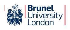 INTRODUCTION These regulations provide information and guidance on payment of all fees and fines whilst studying at Brunel University London (the University), including deadlines, sanctions and