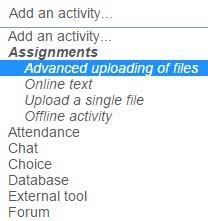 8. Click on Upload a Single File in order to open up the options below. If you would like to give your students the option of resubmitting documents, choose Yes underneath Allow resubmitting.