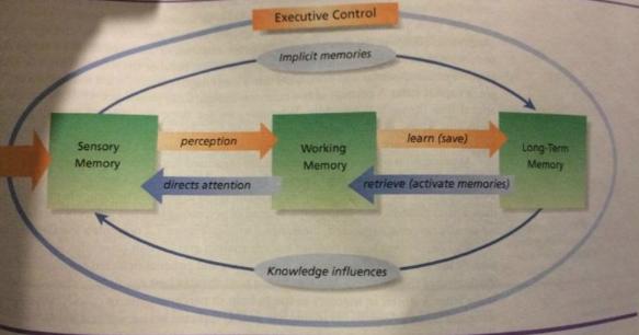 Sensory Memory is used to process incoming stimuli into information how we can make sense of them.