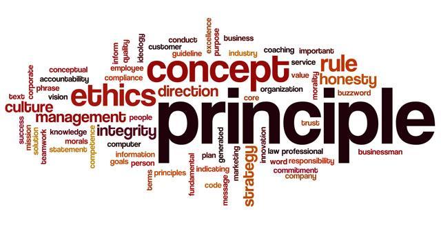 What are the guiding principles?